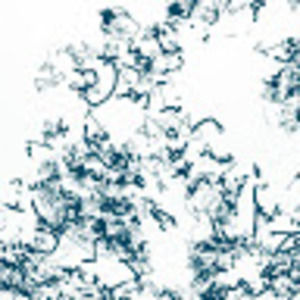 Meet your Posher, Islam